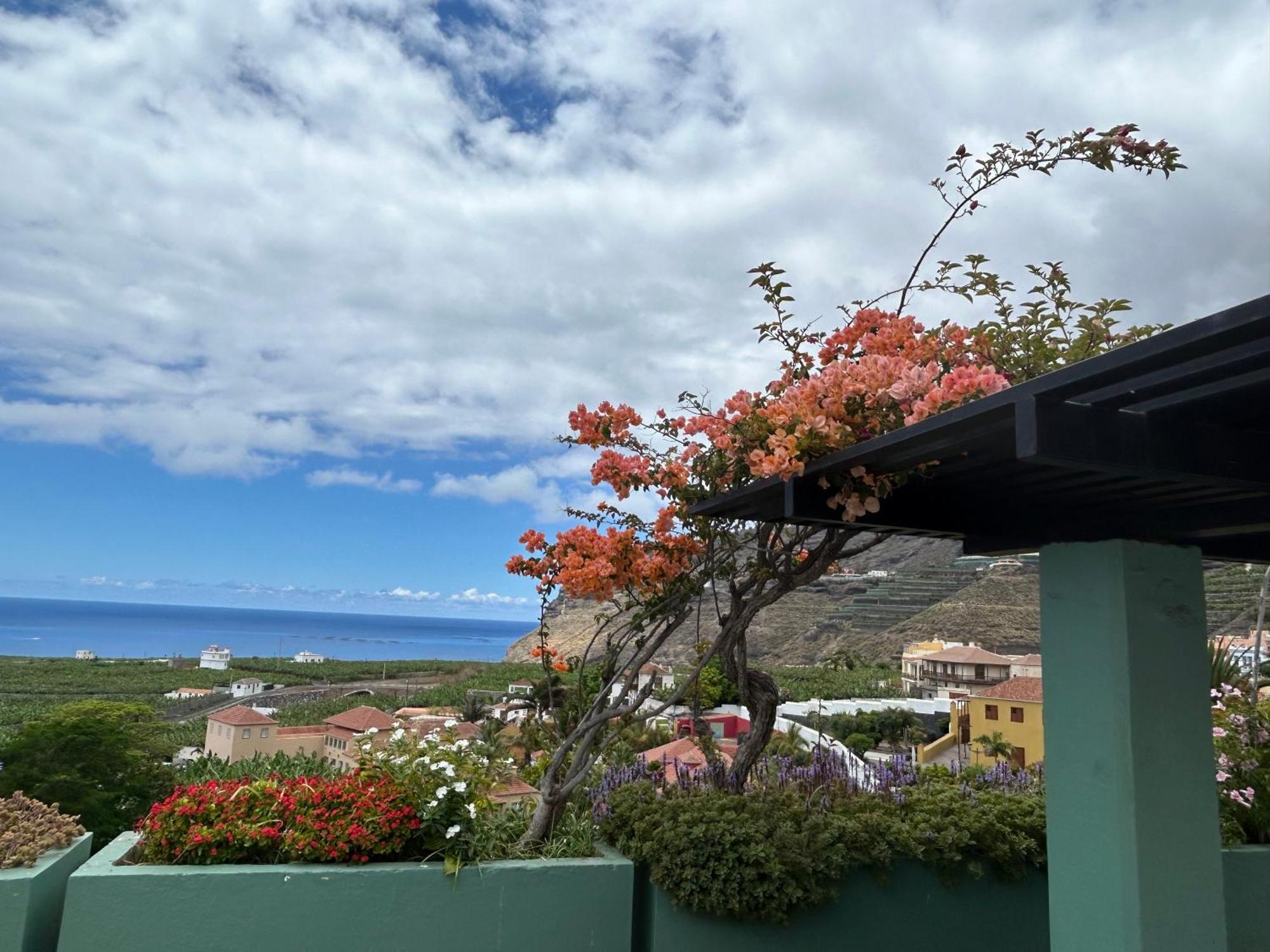 塔扎克蒂La Casita De Gio.公寓 外观 照片